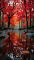 Vibrant autumn forest with red leaves reflecting in calm water at dawn photo