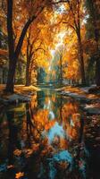 Vivid autumn leaves reflect in tranquil stream surrounded by tall trees in a serene park during late afternoon photo