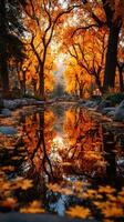 Vibrant autumn foliage reflecting in a serene park pond during sunset in a tranquil natural setting photo