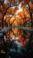 Autumn reflections by a serene river lined with vibrant trees during sunset photo