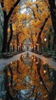 Autumn reflections in a quiet park with vibrant trees and shimmering water at dusk photo