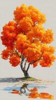 Vibrant orange tree reflecting in water on a serene autumn day in nature photo
