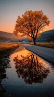 Majestic autumn tree reflects in calm water during early evening light near a quiet rural road photo