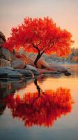 Stunning autumn tree reflects vibrant colors in calm water during sunset near rocky shoreline photo