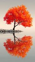 Vibrant orange tree reflecting in calm water during autumn at lakeside photo