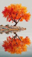 Bright orange tree reflects on calm water in serene autumn landscape by the shore photo