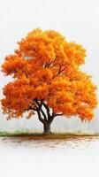 Vibrant orange tree stands alone in a serene landscape during autumn season at dawn photo