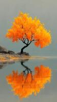Vibrant orange tree reflects in serene waters during autumn in a tranquil landscape photo