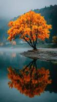 Majestic orange tree reflects in calm water on a foggy autumn morning in serene landscape photo