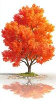 Vibrant autumn tree with orange leaves reflecting on calm water during fall in a peaceful landscape photo