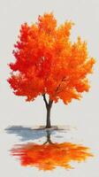 Vibrant orange tree reflecting in puddle during autumn season in a tranquil outdoor setting photo