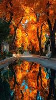 Vibrant autumn leaves reflecting in still water along a tranquil pathway in a park during midday photo