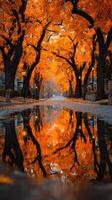 Autumn leaves create a vibrant reflection in a quiet street lined with trees in the early evening photo