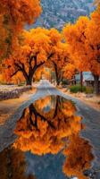 Colorful autumn trees arch over a winding road reflecting in a puddle in a serene rural landscape photo
