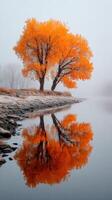 Autumn trees reflect in calm waters during foggy morning near riverbank photo