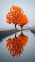 Vibrant orange trees reflecting in a puddle along a quiet road on a foggy morning in autumn photo