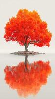 Bright orange tree stands alone on a small island surrounded by calm water during a serene day photo
