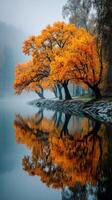 Stunning autumn trees reflecting in calm river at dawn in serene natural landscape photo