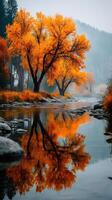 Autumn foliage reflects on a calm river in a serene landscape during early morning hours photo