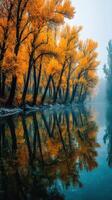 Autumn trees reflecting in a calm river during a misty morning near a tranquil landscape photo