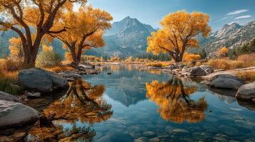 Autumn reflection of golden trees in a serene mountain river landscape during early morning light photo