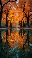 Vibrant autumn foliage reflecting in calm water at a serene park in the early evening light photo