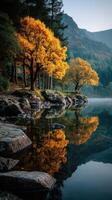 Autumn trees with golden leaves reflecting on calm lake during early morning photo