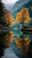 Autumn trees reflect in serene river at dawn in a picturesque mountainous valley photo