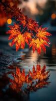 Vibrant autumn leaves with droplets reflecting in tranquil water during golden hour photo