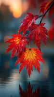 Colorful autumn leaves reflecting on calm water during sunset in a natural setting photo