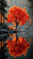 Vibrant autumn tree reflects on calm water amidst serene landscape in golden hour photo