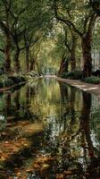 Peaceful tree-lined pathway reflects autumn colors near a tranquil waterway in a city park during afternoon sunlight photo