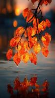 Bright orange leaves glistening above calm water at sunset in a serene natural setting photo