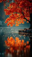 Vibrant autumn leaves reflected in calm lake waters during early morning light photo