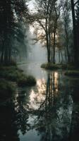 Misty morning glow reflecting on a serene forest stream surrounded by tall trees and lush grasses at dawn photo