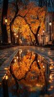 Autumn evening stroll through a tree-lined path reflecting golden leaves in tranquil puddles photo