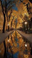 Colorful tree-lined pathway reflecting autumn leaves in a serene park at dusk photo