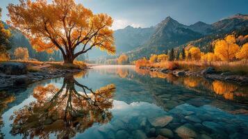 Autumn landscape featuring a golden tree reflecting in a calm river by mountains during sunset photo