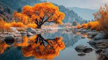 Autumn colors reflecting in calm river with golden foliage near rocky shore in a serene landscape photo