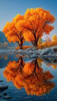 Vibrant autumn trees reflected in a calm river at sunset in a serene natural setting photo