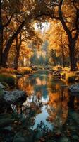 Golden autumn reflections in a serene forest stream surrounded by vibrant foliage and tranquil waters photo