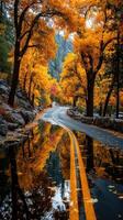 Serene autumn path lined with vivid trees and reflections after rainfall in a tranquil landscape photo