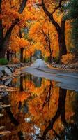 Autumn colors illuminate a serene road surrounded by vibrant orange trees near a peaceful water reflection in the afternoon photo
