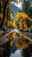 Autumn reflection on a winding road surrounded by vibrant yellow trees in a mountain landscape photo