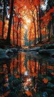 Vibrant autumn foliage surrounds a serene stream reflecting golden hues in a tranquil forest setting photo