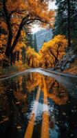 Autumn trees reflect in wet road creating vibrant landscape in the mountains photo