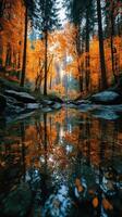 Autumn colors reflected in a tranquil forest stream in the early morning light photo