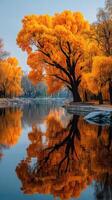 Vibrant autumn foliage reflects in tranquil lake during serene morning hours photo