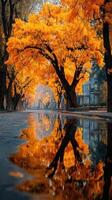 Vibrant autumn leaves reflect in a tranquil street with colorful trees in a scenic urban setting during the daytime photo