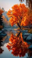 Stunning autumn landscape with vibrant orange tree reflecting in calm river at sunset in a tranquil park photo